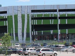 Birch-tree mural on the Club Regent parkade